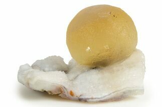 Botryoidal Yellow-Orange Fluorite on Quartz - India #342393