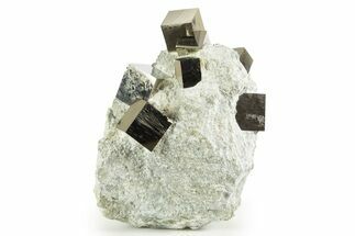 Amazing Natural Pyrite Cube Cluster - Navajun, Spain #343148