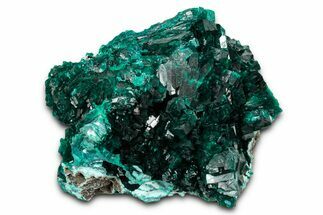 Gemmy, Emerald-Green Dioptase Crystals - Congo #343356