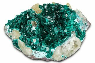 Sparkly, Emerald-Green Dioptase Crystals on Calcite - Congo #343366