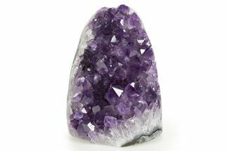 Free-Standing Amethyst Crystal Cluster - Uruguay #343764