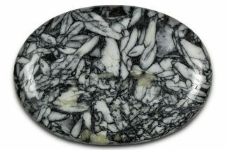 Polished Pinolite Palm Stone - Austria #343882
