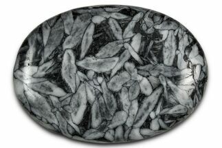 Polished Pinolite Palm Stone - Austria #343892