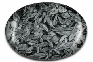 Polished Pinolite Palm Stone - Austria #343894