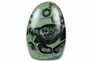 Free-Standing, Polished Kambaba Jasper - Madagascar #344003