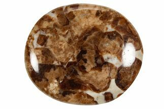 Polished Garnet In Wollastonite Stone - Namibia #343962