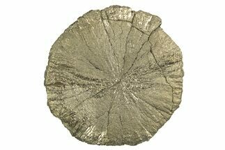 Radiant Pyrite Sun - Sparta, Illinois #342551