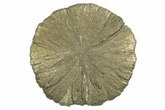 Radiant Pyrite Sun - Sparta, Illinois #342556