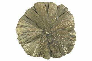 Radiant Pyrite Sun - Sparta, Illinois #342566