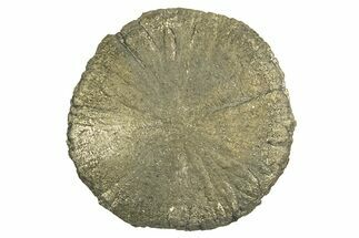 Radiant Pyrite Sun - Sparta, Illinois #342570