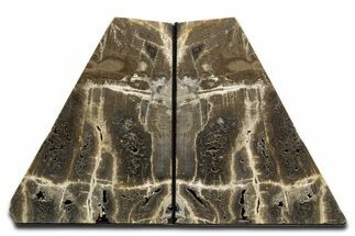 Tall Petrified Wood Bookends - Deschutes River, Oregon #344130