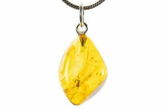 Polished Baltic Amber Pendant (Necklace) - Contains Ant! #339546