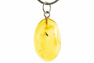 Polished Baltic Amber Pendant (Necklace) - Contains Beetle! #339553