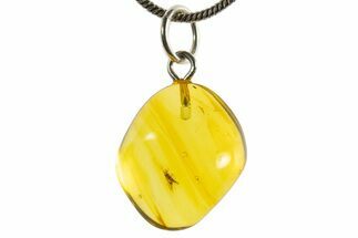 Polished Baltic Amber Pendant (Necklace) - Contains Fly! #339564