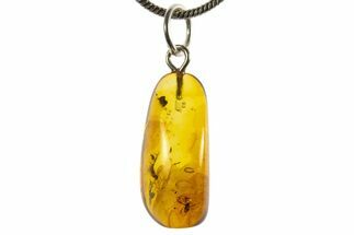 Polished Baltic Amber Pendant (Necklace) - Contains Flies! #339565