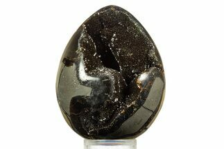 Septarian Dragon Egg Geode - Sparkly Black Crystals #344435