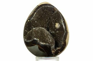 Septarian Dragon Egg Geode - Sparkly Black Crystals #344437