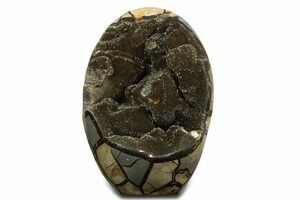 Free-Standing, Polished Septarian Geode - Black Crystals #344446