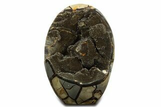 Free-Standing, Polished Septarian Geode - Black Crystals #344446