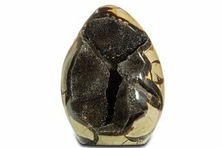 Polished Dragon Egg Septarian Geode - Free-Standing #344451