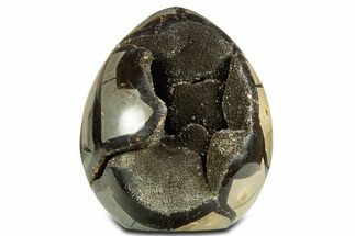 Polished Dragon Egg Septarian Geode - Free-Standing #344452