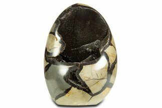 Free-Standing, Polished Septarian Geode - Black Crystals #344453