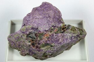Vibrant Magenta Stichtite Specimen - South Africa #345005