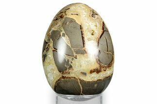 Calcite Crystal Filled Septarian Egg - Utah #344841