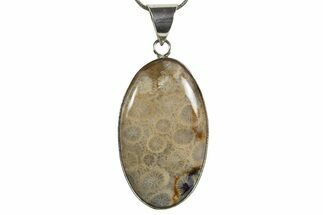 Polished Indonesian Fossil Coral Pendant (Necklace) #345281