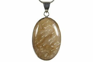 Polished Indonesian Fossil Coral Pendant (Necklace) #345282