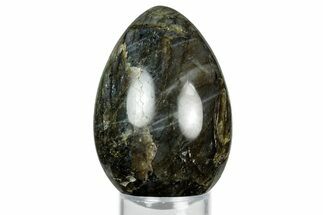 Flashy, Polished Labradorite Egg - Madagascar #344323