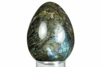 Flashy, Polished Labradorite Egg - Madagascar #344327