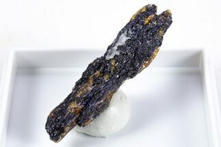 Violet Yoderite on Kyanite Crystal - Mautia Hill, Tanzania #345717