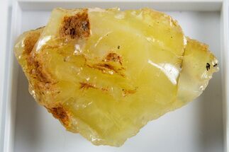 Natural Honey-Opal Specimen - Tanzania #345765