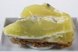 Natural Honey-Opal Specimen - Tanzania #345767