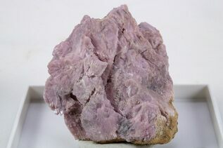Buy Inesite