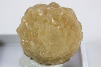 Citrine Quartz Star Pseudomorph after Ikaite - Morocco #345829