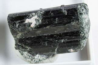 Black-Green Magnesio-Hastingsite Crystal - Norway #345861