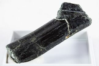 Black-Green Magnesio-Hastingsite Crystal - Norway #345863