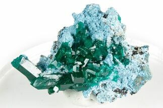 Gemmy Dioptase Crystal Cluster on Plancheite - Sanda, Congo #346100