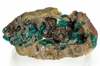 Sparkling Druzy Quartz Crystals with Dioptase - Sanda, Congo #346104