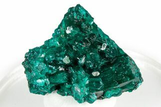 Gemmy Dioptase Crystal Cluster - Congo #346116
