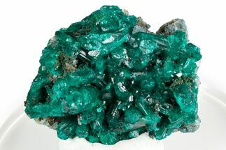 Dioptase Crystal Cluster w/ Plancheite & Quartz - Sanda, Congo #346119