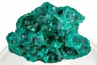 Gemmy Dioptase Crystal Cluster - Congo #346120