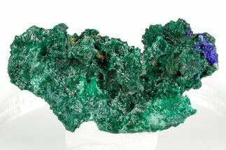 Fibrous Green Malachite with Blue Azurite - Congo #346126
