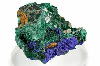 Cerussite and Green Malachite on Sparkling Azurite - Congo #346129