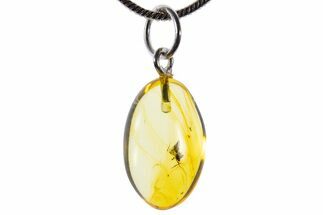 Polished Baltic Amber Pendant (Necklace) - Leafhopper Nymph! #339579