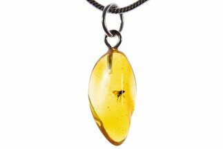 Polished Baltic Amber Pendant (Necklace) - Contains Fly! #339584