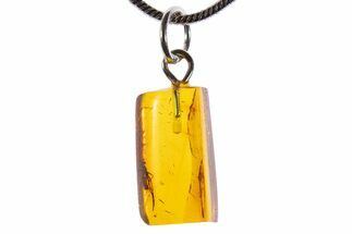 Polished Baltic Amber Pendant (Necklace) - Contains Fly! #339596