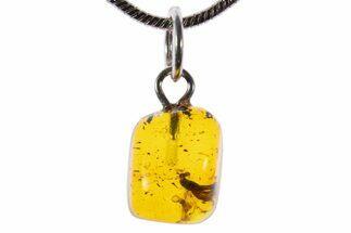 Polished Baltic Amber Pendant (Necklace) - Contains Fly! #339616